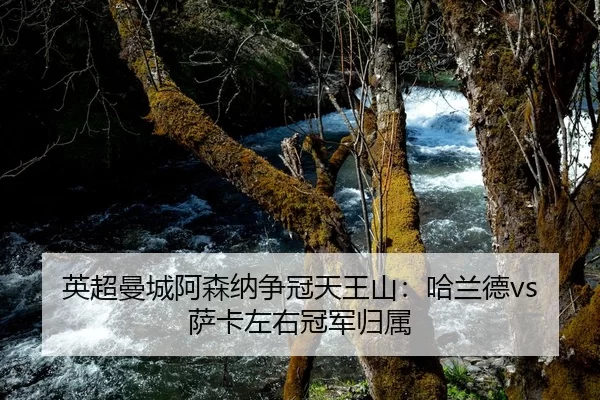 ying-chao-man-cheng-a-sen-na-zheng-guan-tian-wang-shan-ha-lan-de-sa-ka-zuo-you-guan-jun-gui-shu-2-102.jpg